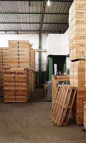 distribuidora de pallets distribuidora de pallets